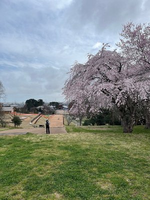 🏯 타가 성터(타가죠아토) 이미지 2
